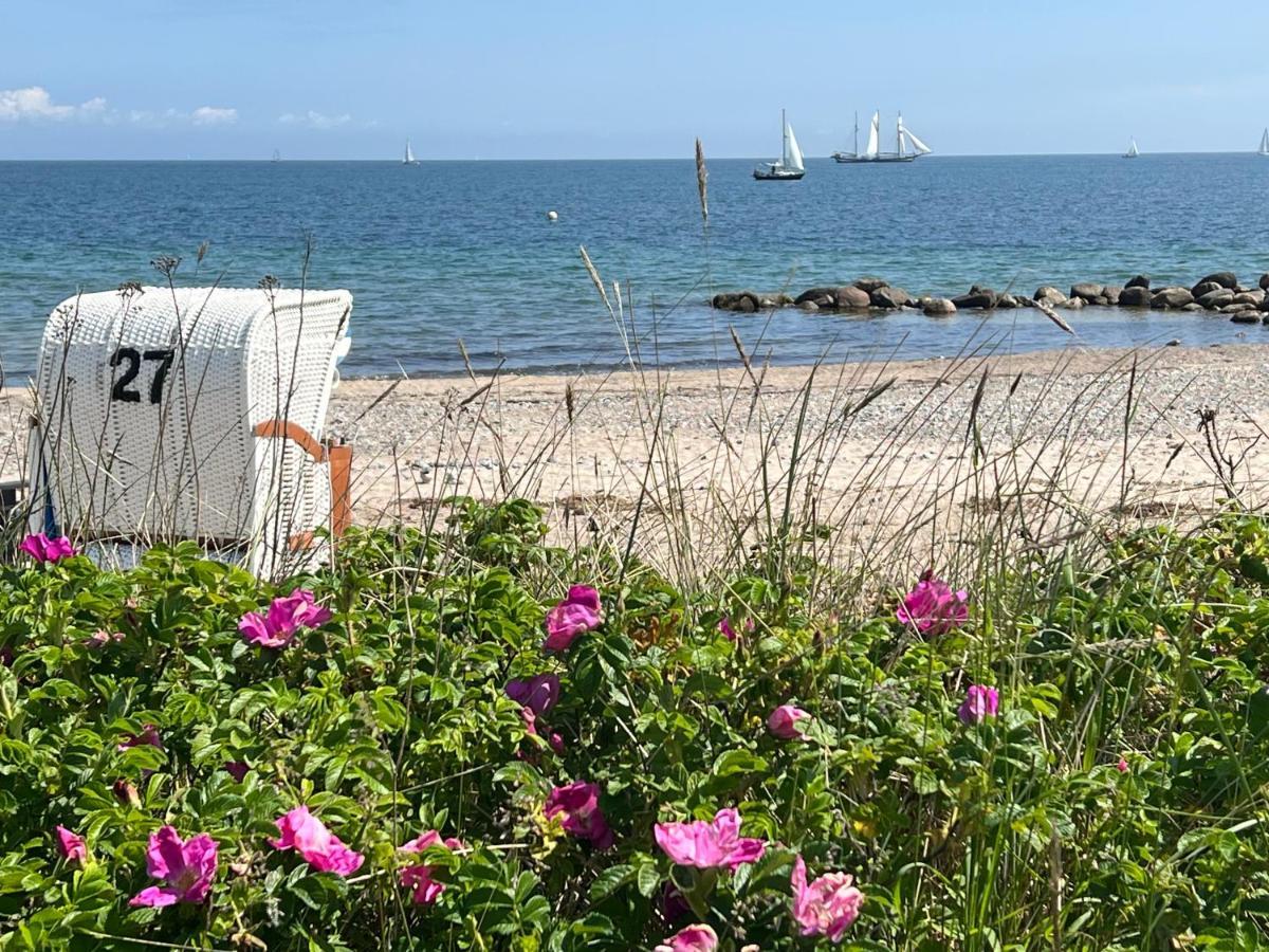Seelund - Meeresrauschen Lauschen - Ruhiges Sonniges Apartment Mit Garten Und Terrasse Nahe Strand Und Ostsee Schönhagen Exteriér fotografie